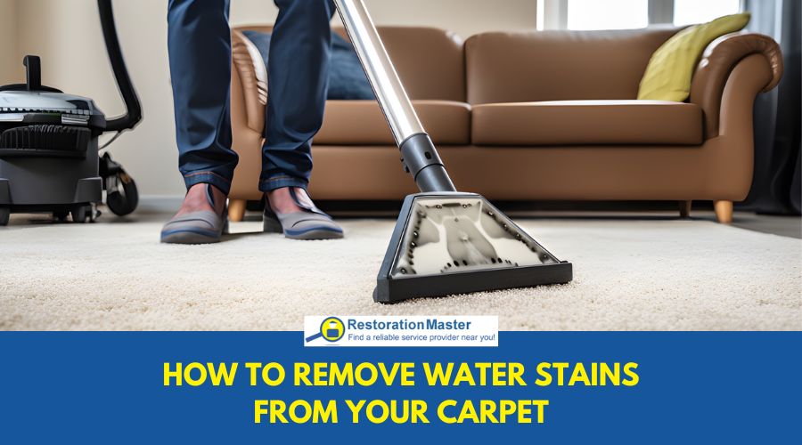 Professional carpet cleaner using steam cleaning equipment Professional carpet cleaner using steam cleaning equipment