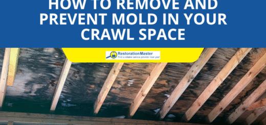 Remove and Prevent Mold in the Crawl Space - RestorationMaster