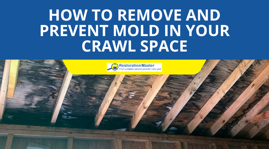Remove and Prevent Mold in the Crawl Space - RestorationMaster Remove and Prevent Mold in the Crawl Space - RestorationMaster