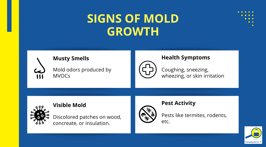 Signs of Crawl Space Mold - RestorationMaster
