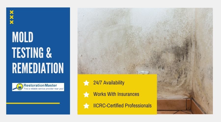 mold remediation restorationmaster