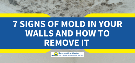 Signs of Mold in Walls and How to Remove it - RestorationMaster