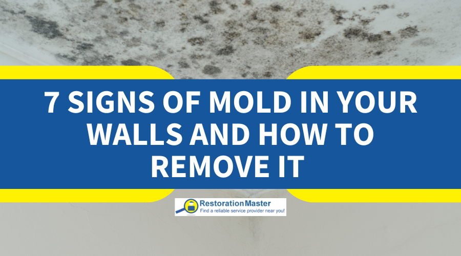 Signs of Mold in Walls and How to Remove it - RestorationMaster