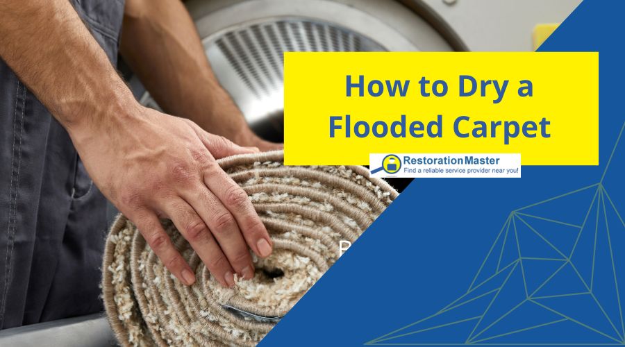 How to Dry a Wet Carpet how to dry a flooded carpet