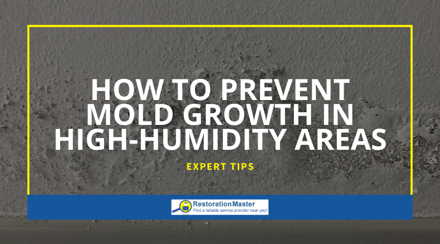 How to Prevent Mold in High Humidity Areas of Home - RestorationMaster How to Prevent Mold in High Humidity Areas of Home - RestorationMaster