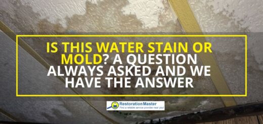 difference between water stains and mold