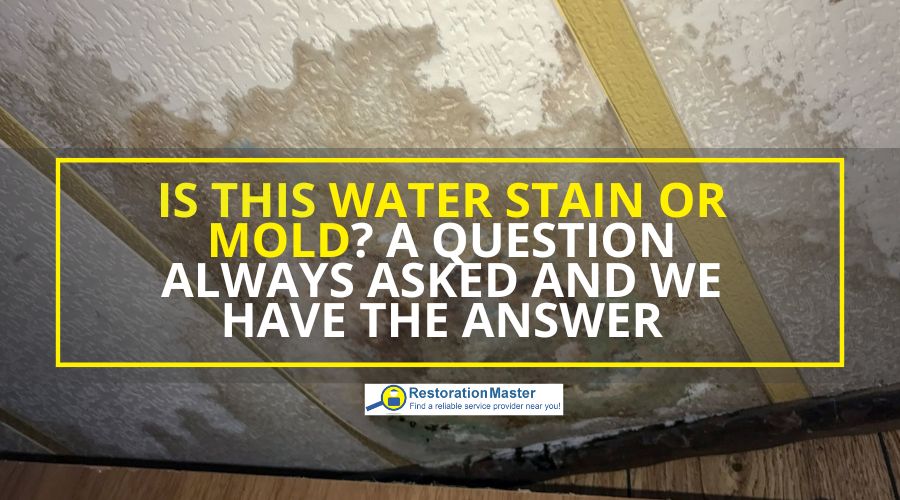 difference between water stains and mold difference between water stains and mold