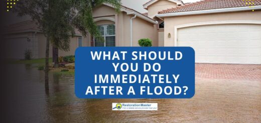 what to do after flood