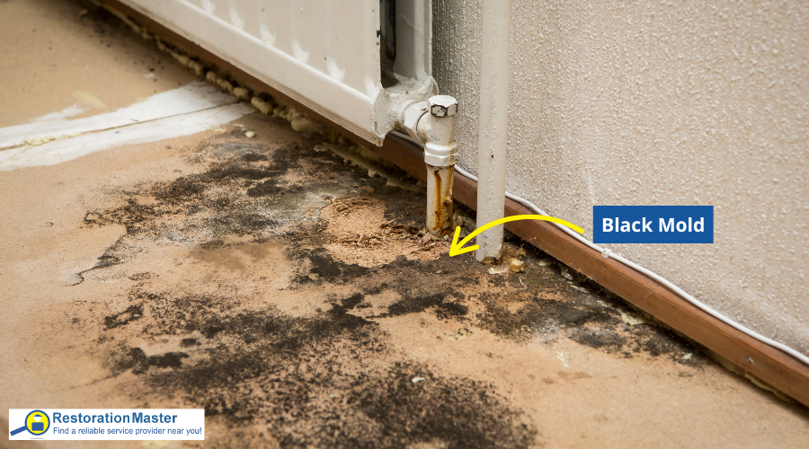 Black Mold Caused by Window AC Unit - RestorationMaster