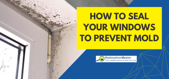 How to Seal Your Windows to Prevent Mold - RestorationMaster