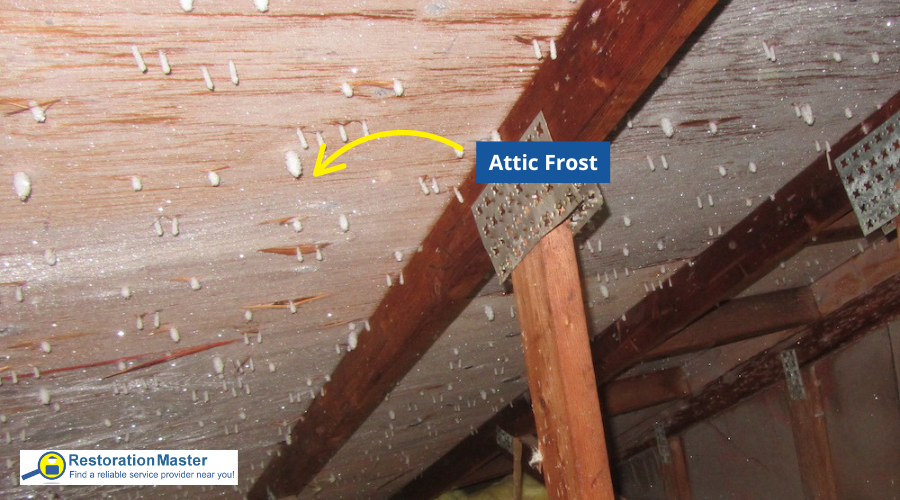 Attic Frost Prevention - RestorationMaster