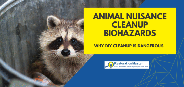 Animal Nuisance as a Biohazard - RestorationMaster
