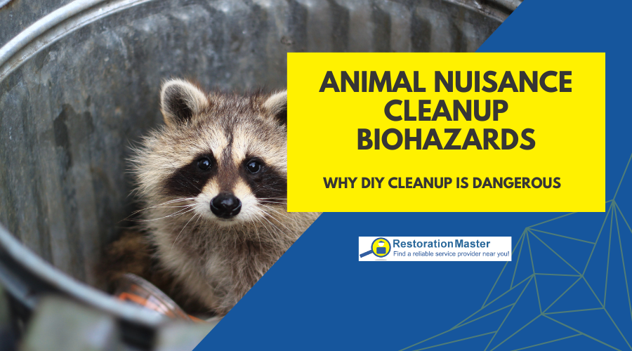 Animal Nuisance as a Biohazard - RestorationMaster